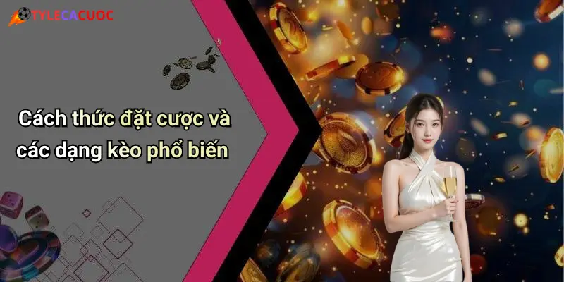 Cách thức đặt cược và các dạng kèo phổ biến