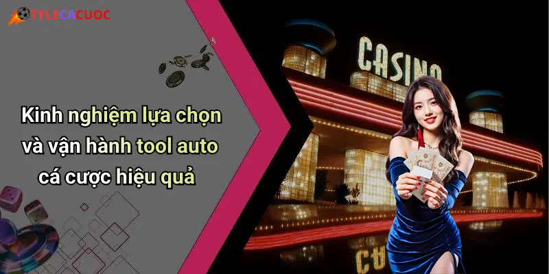 Kinh nghiệm lựa chọn và vận hành tool auto cá cược hiệu quả