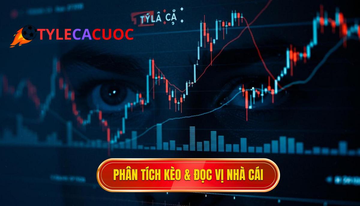 Phần 2_ Phân Tích Biến Động Kèo và Đọc Vị Nhà Cái