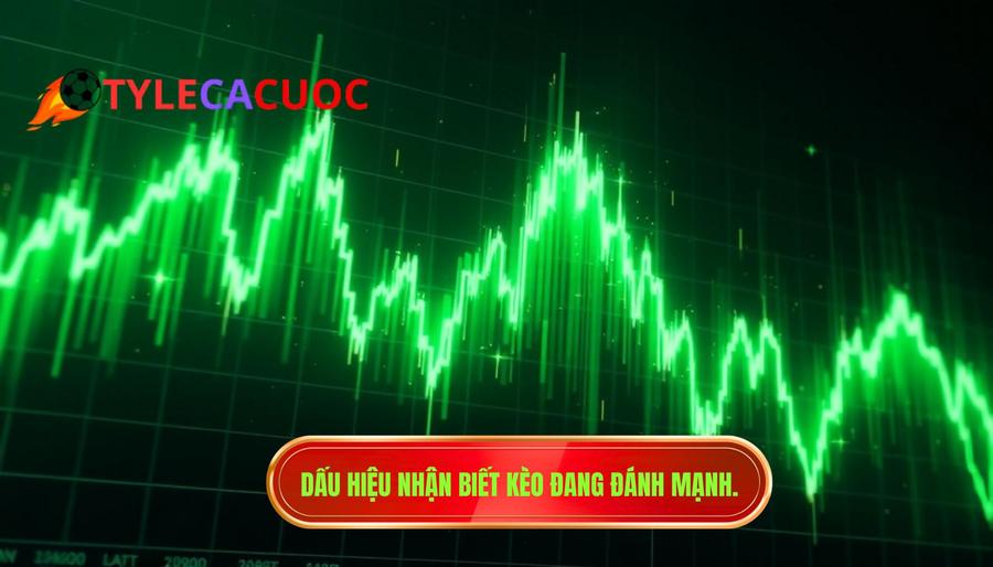 Dấu hiệu nhận biết kèo đang đánh mạnh