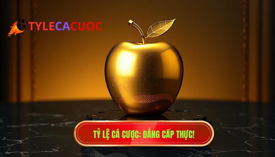 Tưởng thơm ai ngờ đắng: Cạm bẫy trong cá cược và cách phòng tránh